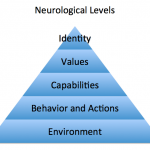 NL Levels Pic